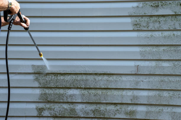 Affordable siding repair and maintenance services in Harrison, NJ