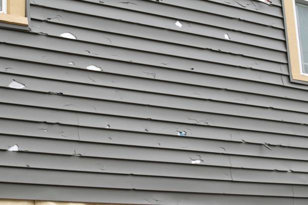 Best Historical Building Siding Restoration  in Harrison, NJ