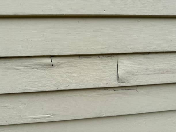 Best Residential Vinyl Siding Installation  in Harrison, NJ